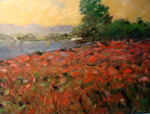 rosy fields of New Zealand 30x40 inches